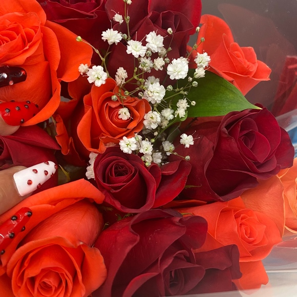 Meet your Posher, Fabiola - Picture 1 of 1